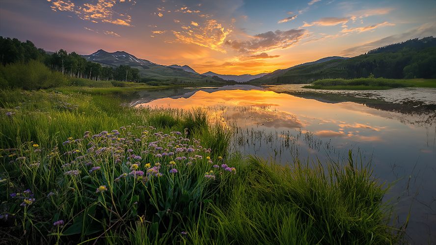 Lago entre flores silvestres y montañas al atardecer