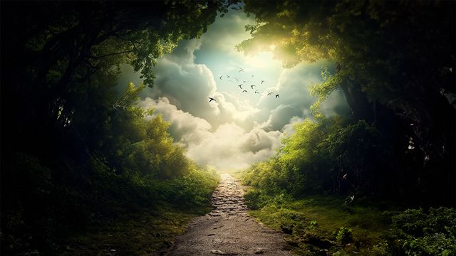 Bosque oscuro que se abre a un cielo de nubes luminosas, con pájaros