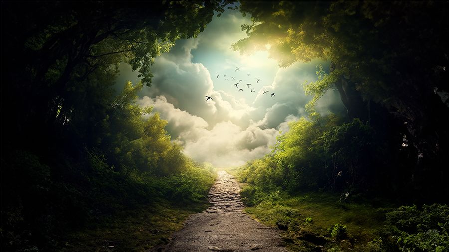 Bosque oscuro que se abre a un cielo de nubes luminosas, con pájaros